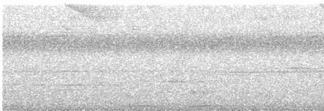 holub černošíjný - ML314762211