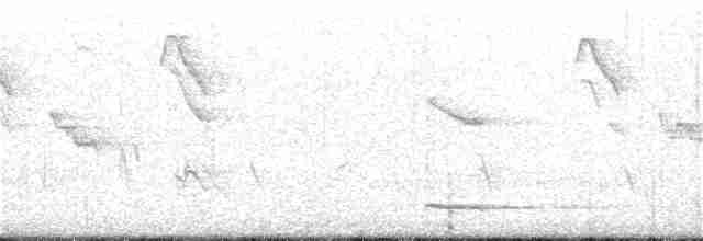 Сичик-горобець євразійський - ML314786731