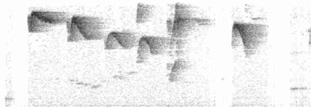 Черногорлый колибри-отшельник - ML314826431