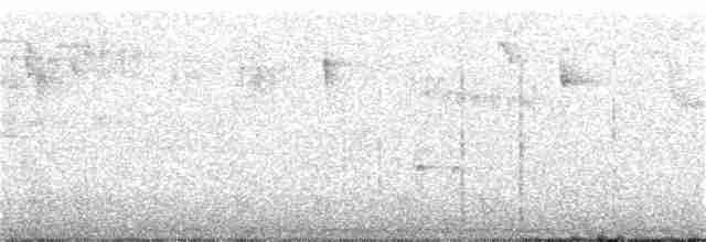 Тиранчик-довгохвіст жовточеревий - ML314828371