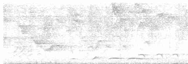 Black-crowned Antshrike - ML314862571