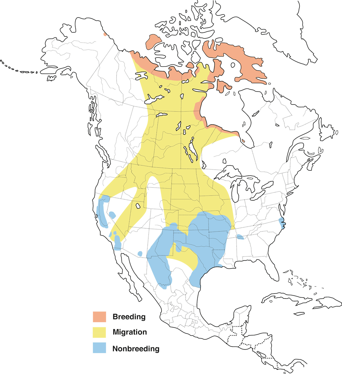 Ross's Goose Range Map