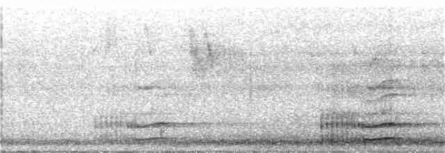 Toucan montagnard - ML314928061