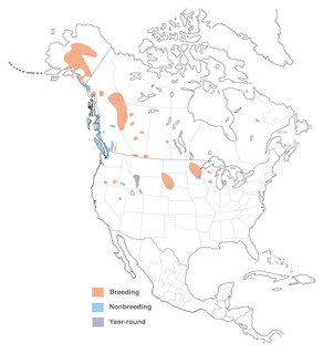 Figure 1. Distribution of the Trumpeter Swan in North America. - Range Map