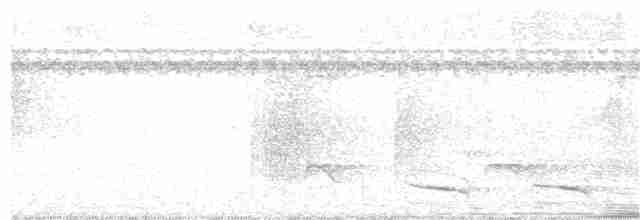 Black-crowned Antshrike - ML314946851