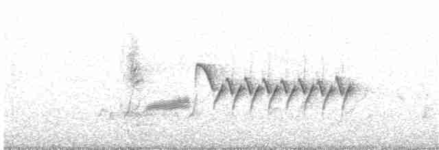 Длиннохвостый крапивник - ML314974401