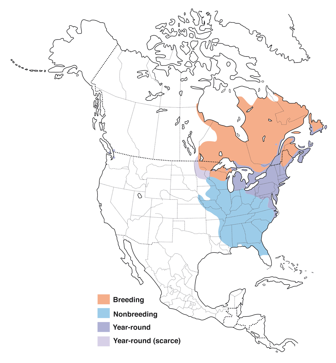 American Black Duck Range Map