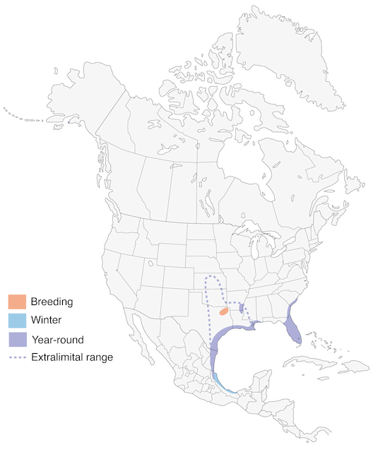 Mottled Duck Range Map