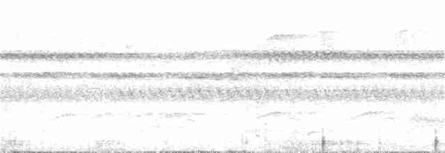 Halsband-Ameisenvogel - ML315020141