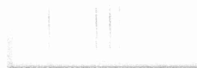 Troglodyte de Baird - ML315020471