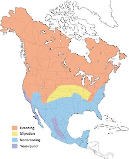 Figure 1. Breeding and nonbreeding (wintering) distribution of the Savannah Sparrow - Range Map
