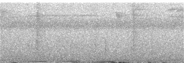 holub pásochvostý - ML315058081