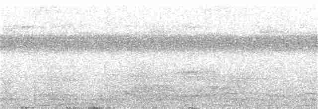 holub pásochvostý - ML315058271