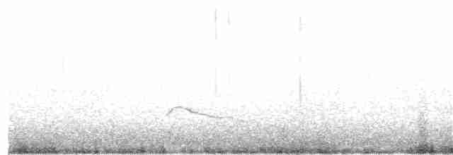 Magellanic Plover - ML315067531