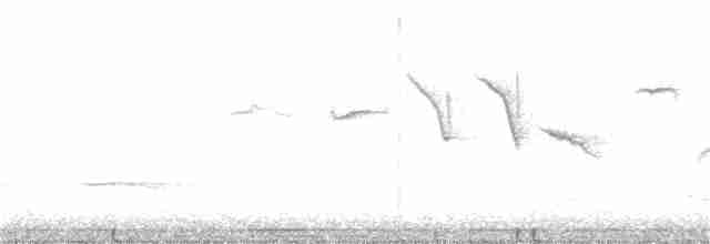 Hudson Körfezi Serçesi - ML315106501