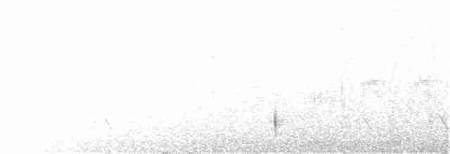Gri Başlı Todi Sinekkapanı - ML315160081