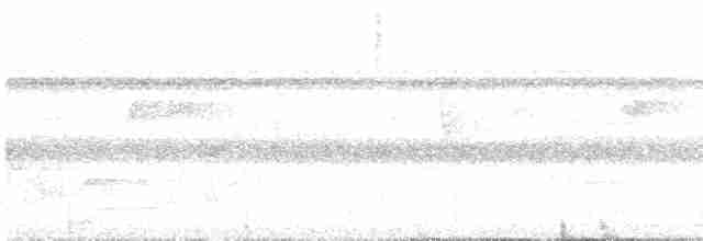 Çizgili Gerdanlı Çıtkuşu - ML315189991