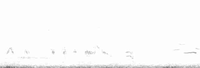 prærielerketrupial - ML315196811