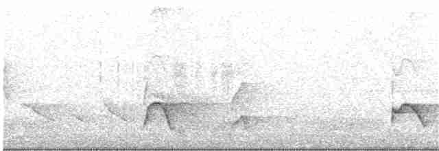 Kırlangıç Kuyruklu Manakin - ML315235471