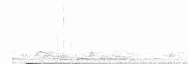 holub fialovoramenný - ML315253991