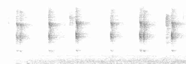 チャバラケンバネハチドリ Ebird