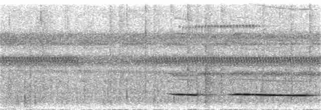 Ochre-striped Antpitta - ML31535531