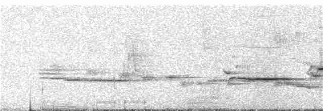 Gri Sırtlı Bülbül Ardıcı - ML315430111