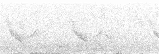 Plumbeous Vireo - ML315580281