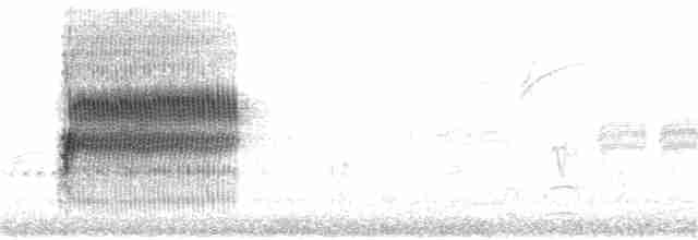 Тауї плямистий [група oregonus] - ML315583961