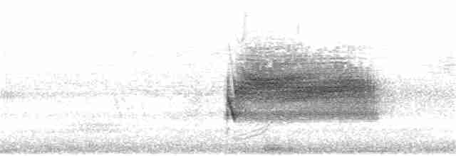 Тауї плямистий [група oregonus] - ML315584021