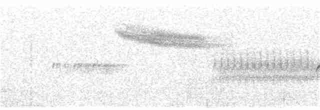 Длиннохвостый крапивник [группа spilurus] - ML315584221
