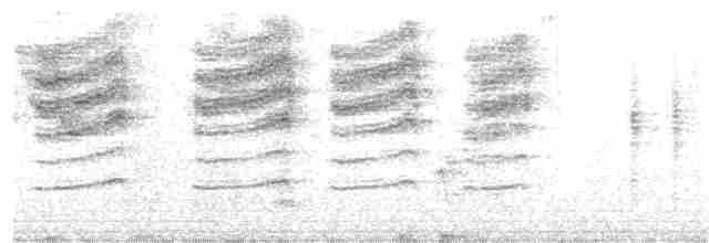 Cisticole paresseuse (groupe aberrans) - ML315605991