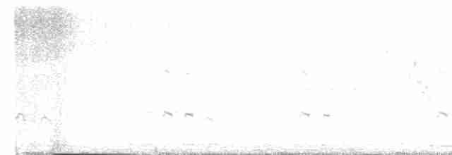 White-throated Kingfisher - ML315639601