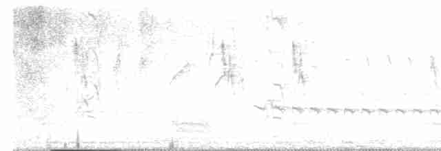 White-throated Kingfisher - ML315640691
