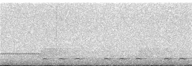 Сичик-горобець гірський (підвид cobanense) - ML315667861