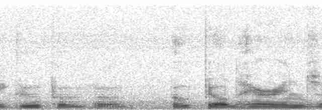 Yassı Gagalı Balıkçıl (cochlearius/panamensis) - ML31573