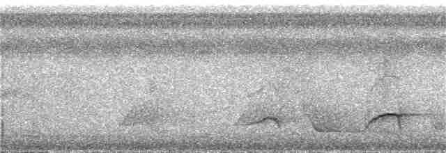 Лінивка-коротун сіроголова - ML31577441