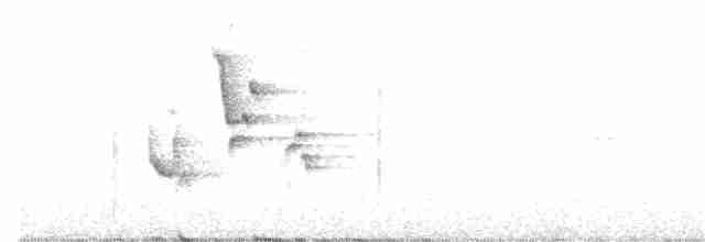 Turuncu Gagalı Bülbül Ardıcı - ML315885431