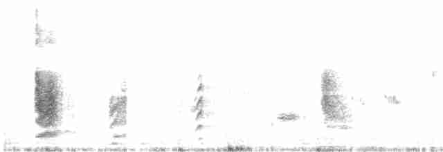 Long-tailed Shrike (tricolor/longicaudatus) - ML316211581