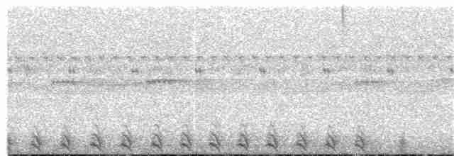 Сплюшка мангрова (підвид lambi) - ML316268911