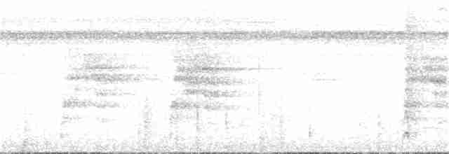 Тиран-інка буроголовий - ML316282921