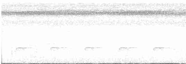 Lacivert Kuyruklu Trogon - ML316283801