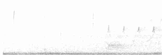 Yellow-throated Warbler - ML316346471