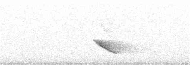 Дрізд-короткодзьоб бурий - ML31654711