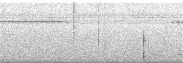 White-tailed Trogon - ML316568281
