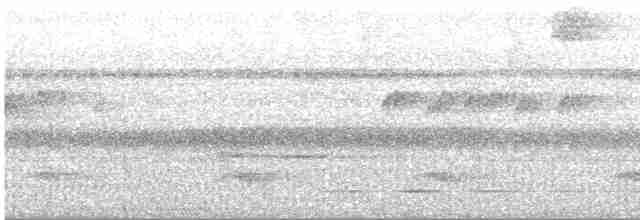 Çizgili Gerdanlı Çıtkuşu - ML316583881