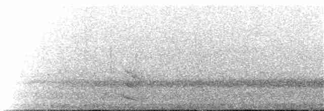 Australian Owlet-nightjar - ML31658801