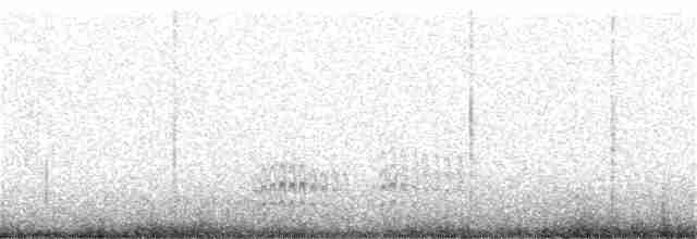 Weißbrustkleiber [lagunae-Gruppe] - ML31666051