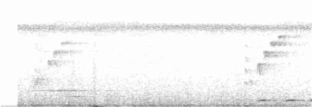 Phapitréron de Tawi-Tawi - ML316662301