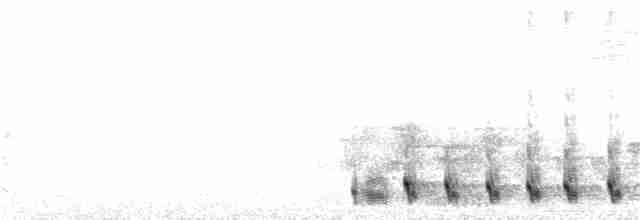 White-eared Honeyeater - ML31672731